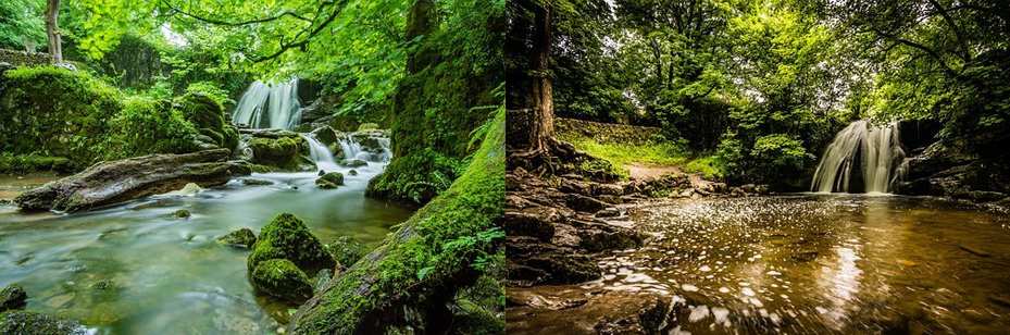 Wild Swimming